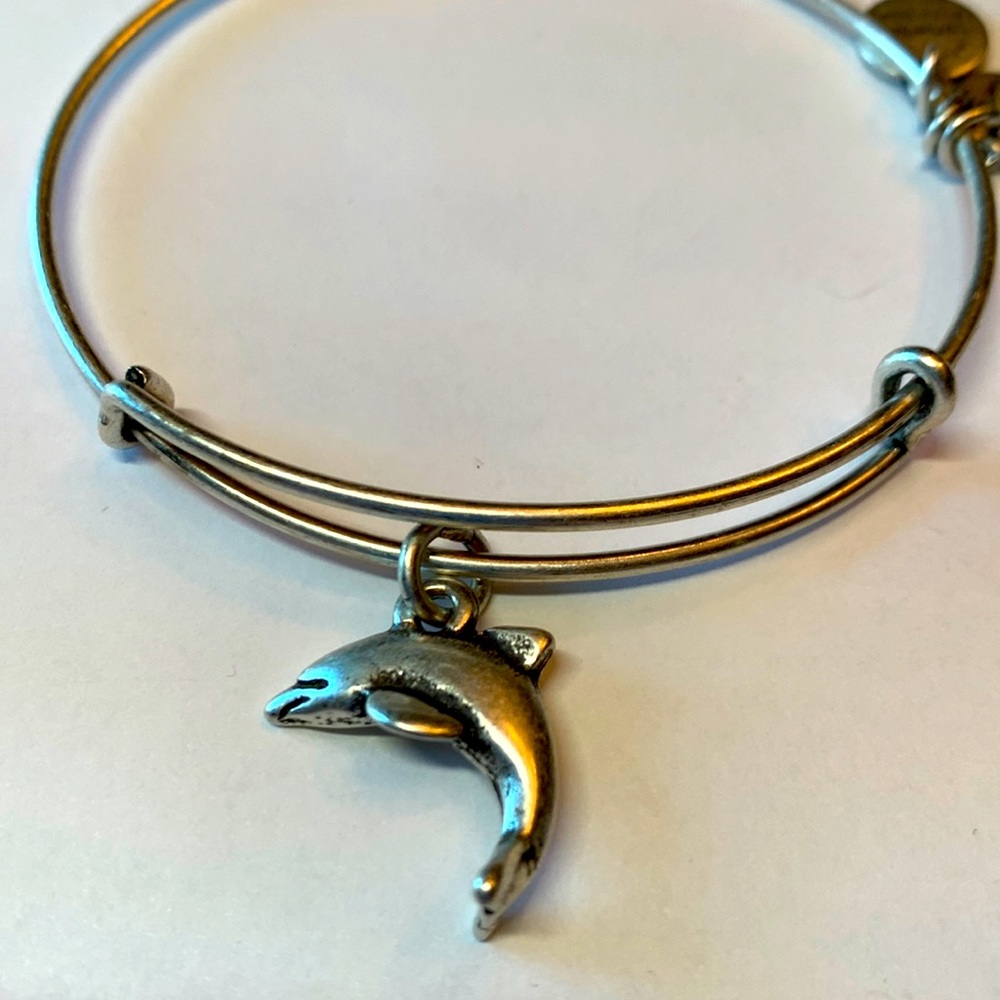 3/$15 Alex and Ani Dolphin silver bracelet